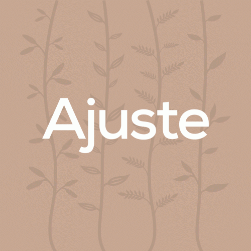 Ajuste